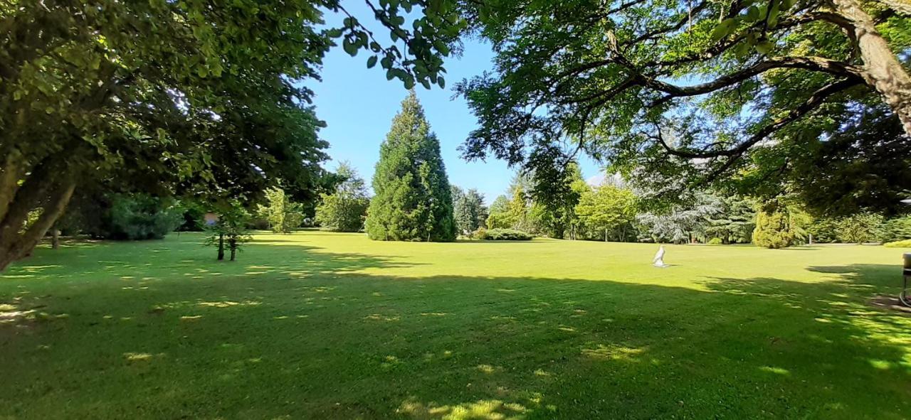 A L'Oree Du Parc Saint-Priest-des-Champs Eksteriør billede